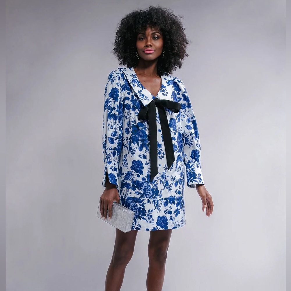 NWT Tuckernuck Blue Floral Long Sleeve Dress